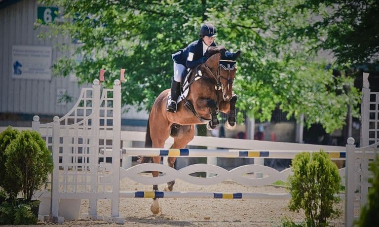 Brown horse jumping a large show jumping fence