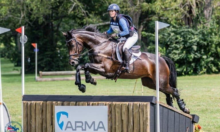 Dark bay horse jumping a cross country jump